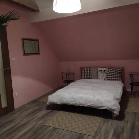 Luxury Near Prague Airport Apartment Stredokluky