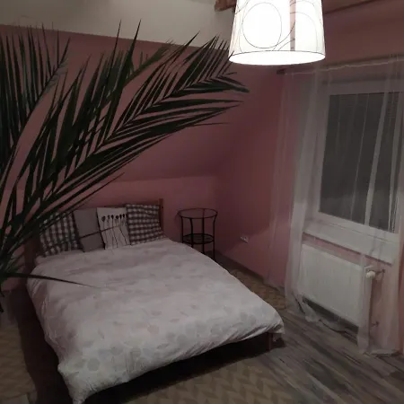 Luxury Near Prague Airport Apartment Stredokluky